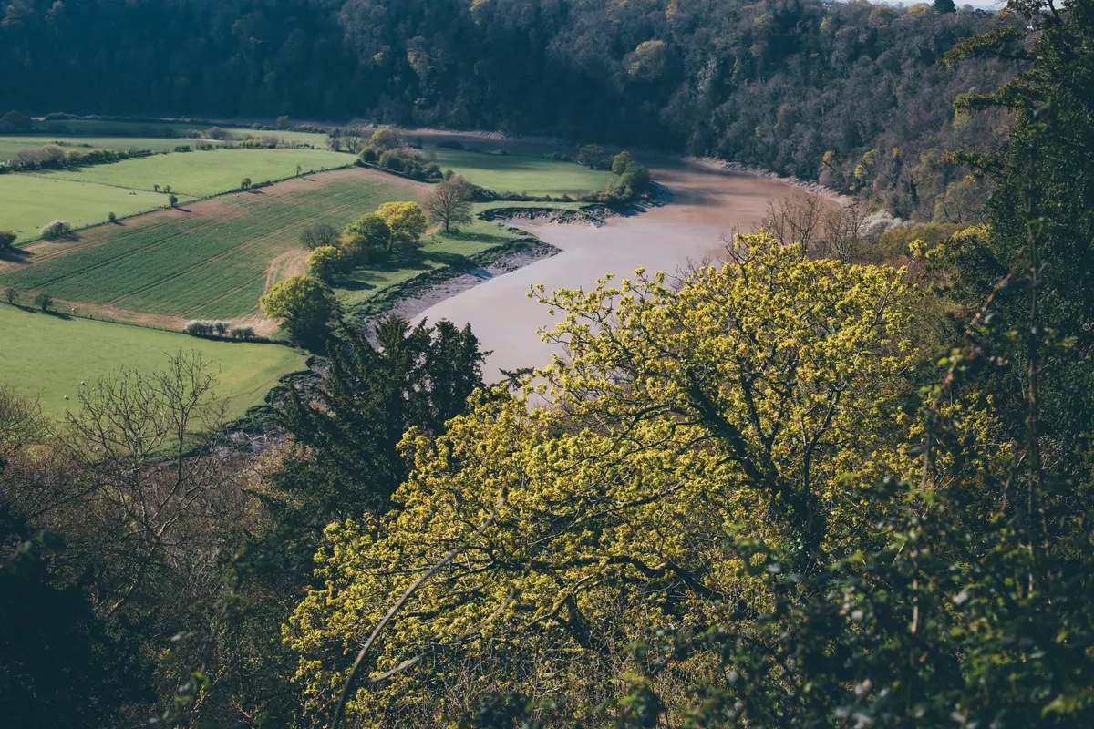 Wye Valley Holiday Cottage