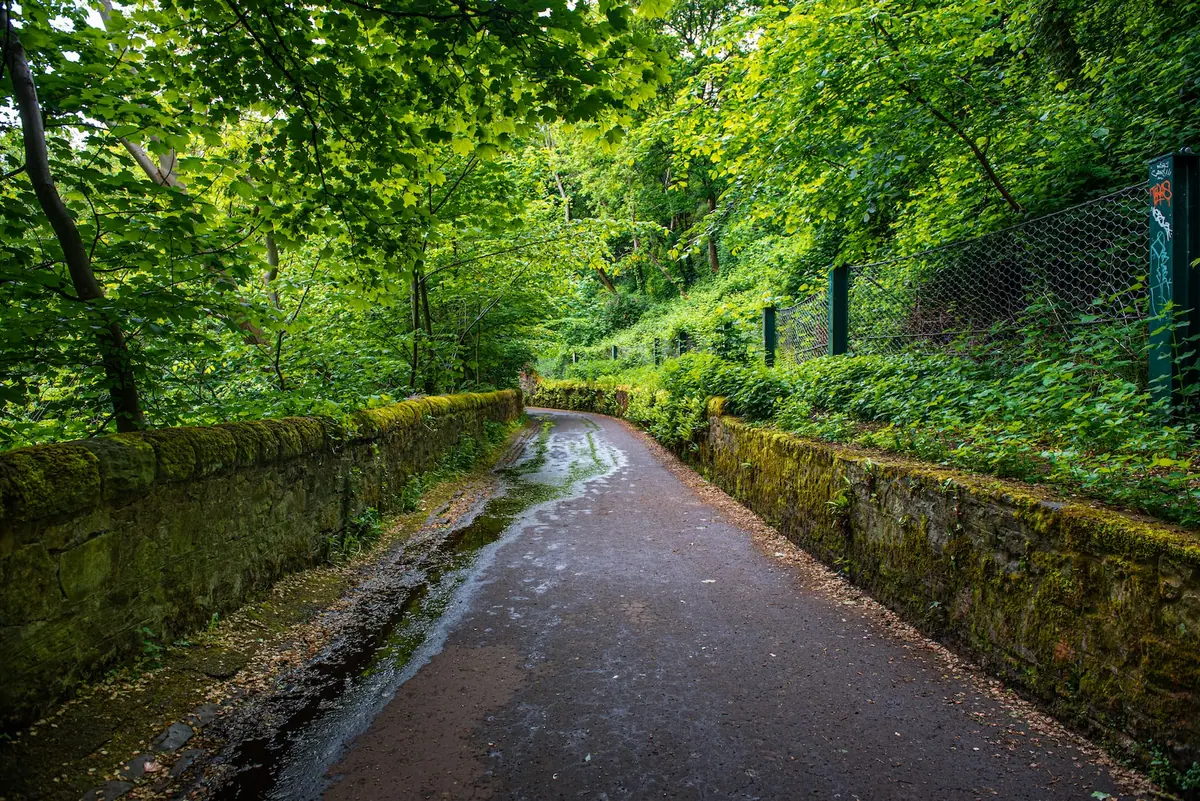 Forest of Dean