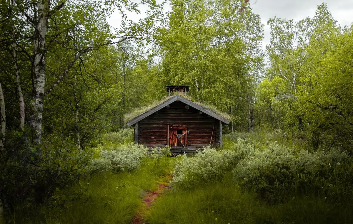 Log Cabins in the Wye Valley