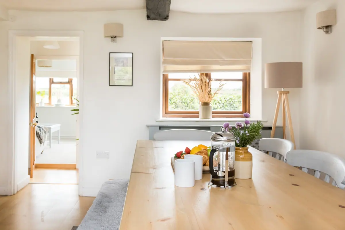 The kitchen counter with a cafetiere and morning light